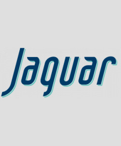Stent periférico Jaguar